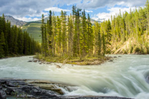 Rocky Mountains, island in rapid stream, Canada Rocky Mountains, island in rapid stream, Canada